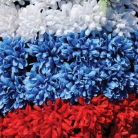 Почтовая открытка Цветочный флаг России